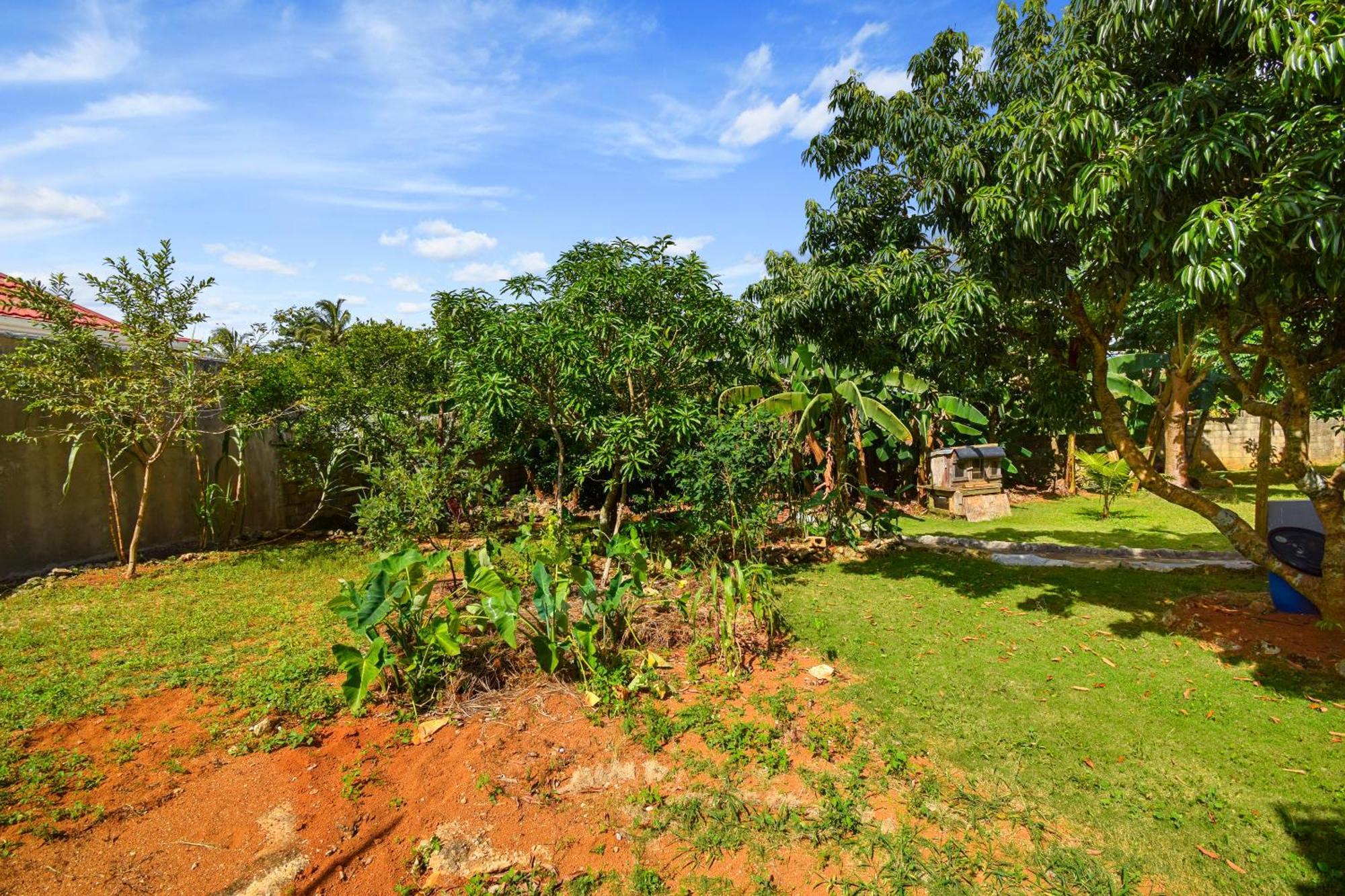 Harriott Heights Apartamento Mandeville Exterior foto