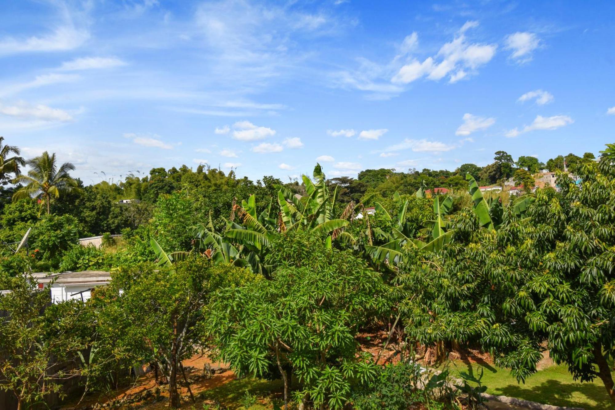 Harriott Heights Apartamento Mandeville Exterior foto