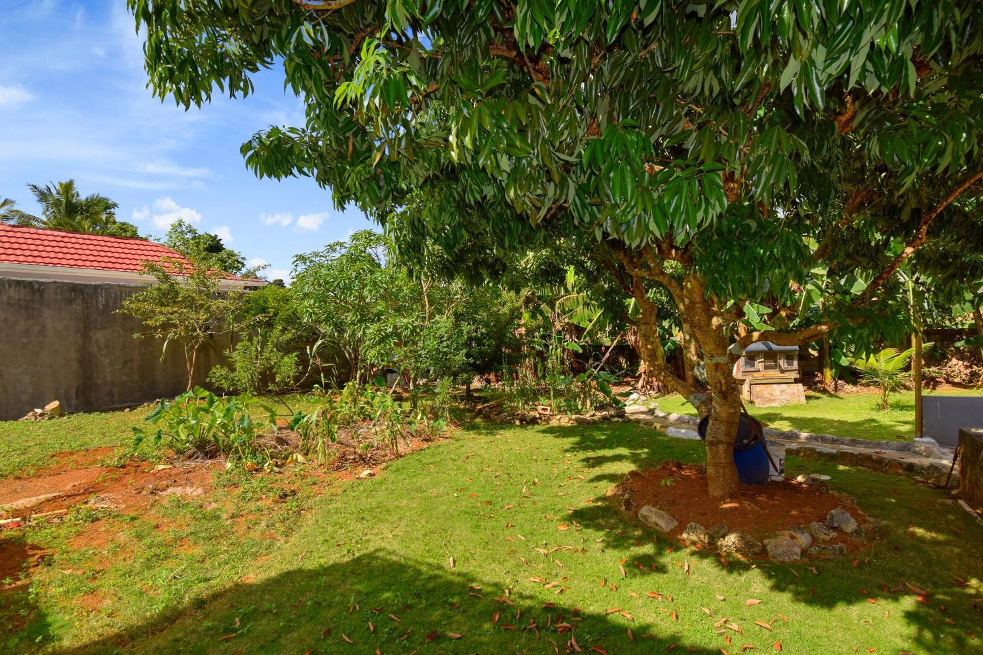 Harriott Heights Apartamento Mandeville Exterior foto